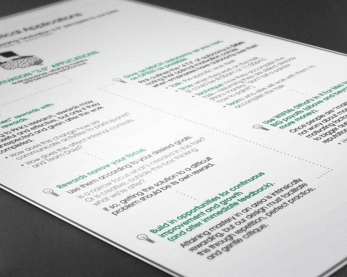 Drive Flyer back closeup